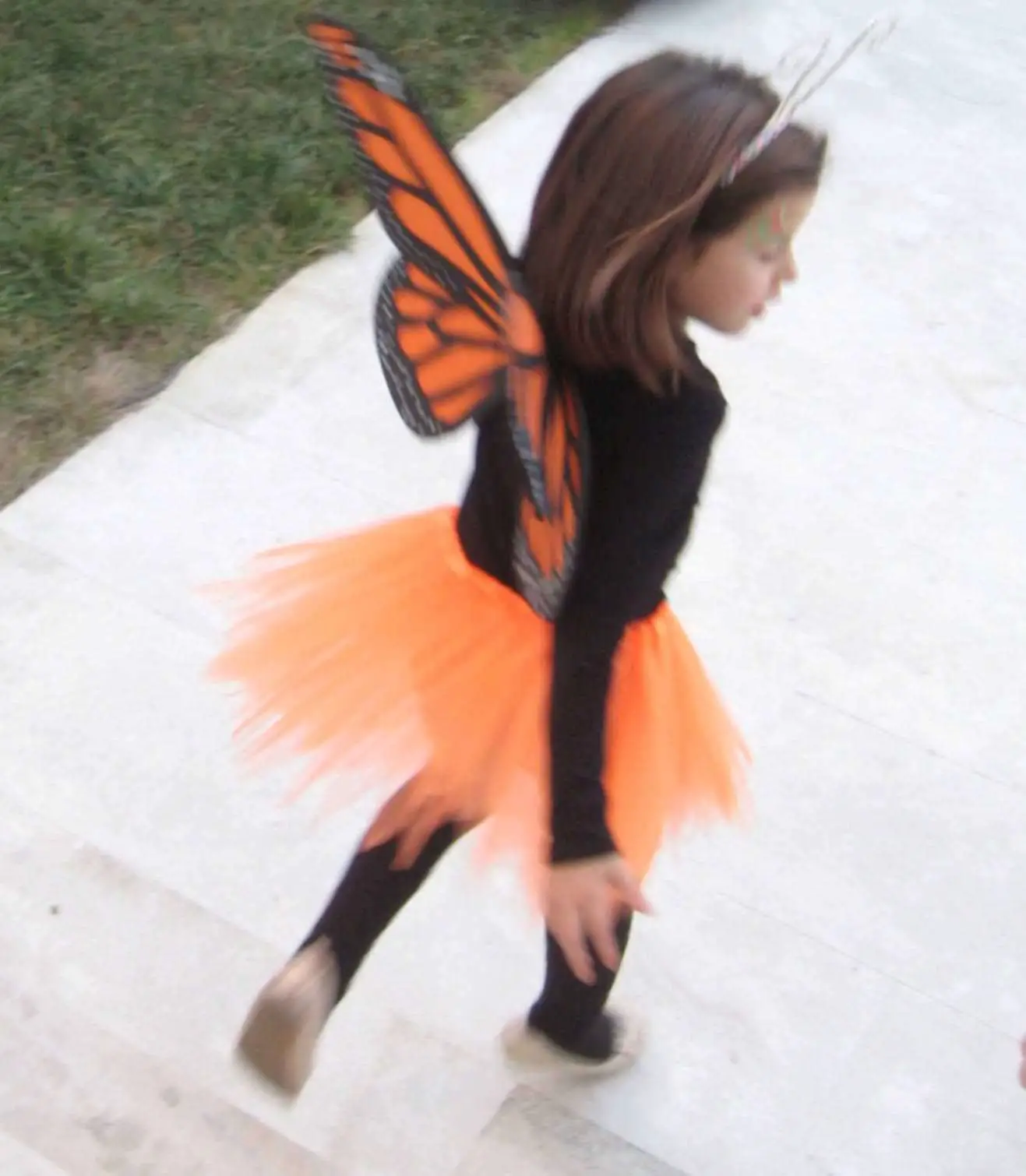 Tierra Último Pakistán Cómo hacer un disfraz de mariposa monarca