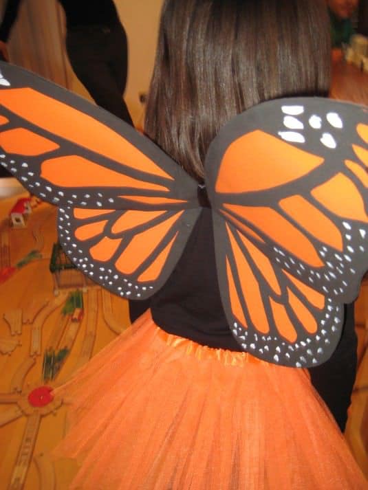 Disfraz de mariposa